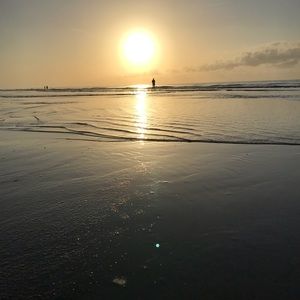 Meet your Posher, Pat